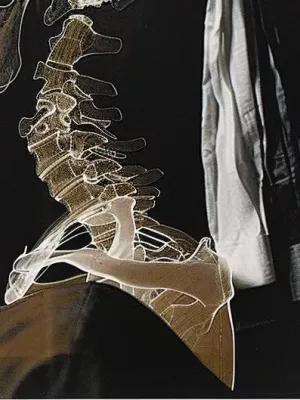 Louis Dourand - Eternal Beauty