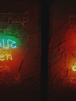 Espace immersif Galerie Bordeaux